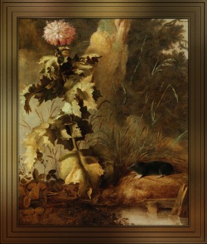 An Egyptian Poppy And A Water Mole by John Crome